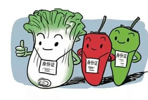 食品銷售中的溯源身份證 漲知識(shí)，一掃知身世